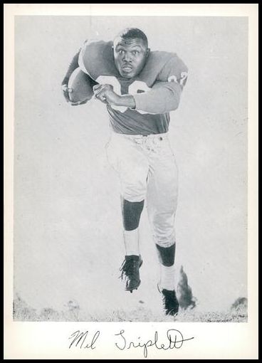 : 1956 Topps # 17 Emlen Tunnell New York Giants-FB (Football  Card) VG/EX Giants-FB Iowa/Toledo : Collectibles & Fine Art